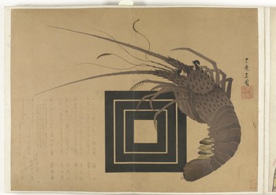 Langosta
Álbum Shijo-surimono del periodo 1840-1900 (título de la serie) de Anonymous