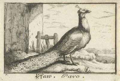 paisaje con pavo real Pfaw, Pavo (título sobre objeto) de Anonymous