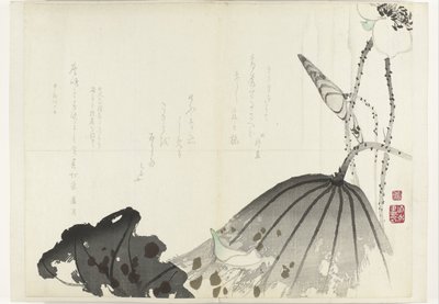 Hoja de loto
Álbum Shijo-surimono del periodo 1840-1900 (título de la serie) de Anonymous