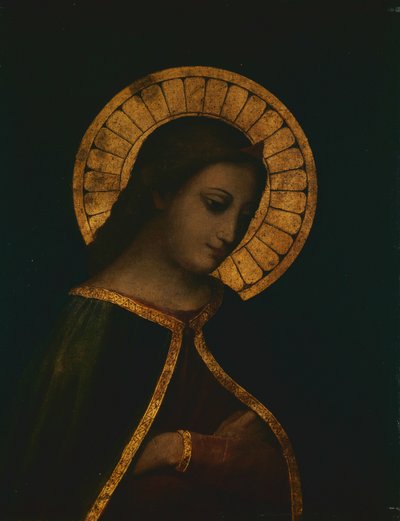 Madonna de Anonymous