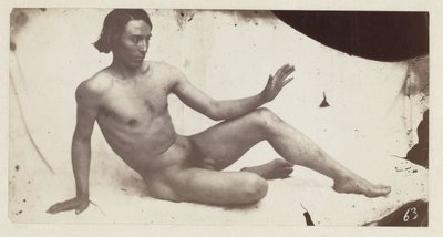 Desnudo masculino de Anonymous