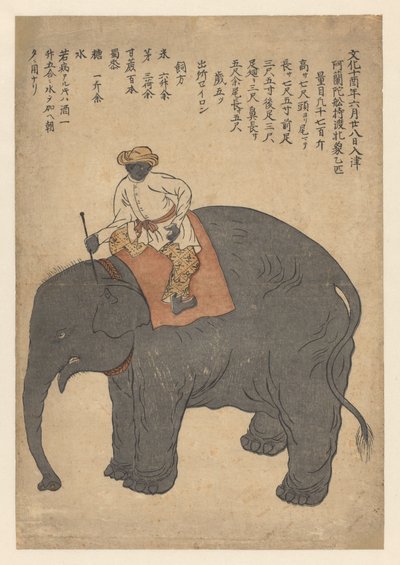 Elefante traído por un barco holandés en 1813 de Anonymous