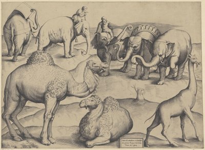 Olifantes, dromedarios y jirafas Cuadro 3 de animales extraídos de las pinturas más antiguas de Roma (título sobre objeto) Espejo de la magnificencia romana (título de la serie) de Anonymous