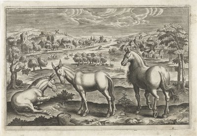 caballo y burros Animales de cuatro patas (título de la serie) Animalivm Qvaddrvpedvm (título de la serie) de Anonymous