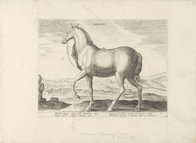 Paard enviado a Albany Albanus (título sobre el objeto) Paardenrassen uit de Koninklijke stallen van Don Juan van Oostenrijk (título de la serie) Un caballo, en el que se encuentra el más noble de todos los tipos: un carácter distinguido de caballos selecc de Anonymous