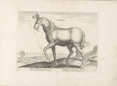 Paard envió a Armenia Armenio (título sobre objeto) Paardenrassen uit de Koninklijke stallen van Don Juan van Oostenrijk (título de la serie) Equile, en el que es el más noble de todos los tipos: un personaje distinguido de caballos de varias partes del mu de Anonymous