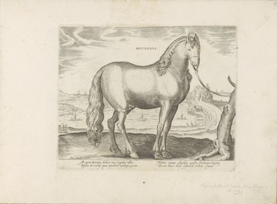 Paard envió Bretagne (Bretaña) (título en el objeto) Paardenrassen uit de Koninklijke stallen van Don Juan van Oostenrijk (título de la serie) Un establo, en el que se encuentra la más noble de todas las razas: se seleccionó el carácter de caballos de dive de Anonymous