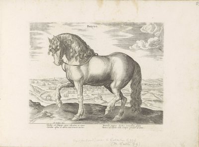 Paard envió a Frisia Phrysus (título sobre el objeto) Paardenrassen uit de Koninklijke stallen van Don Juan van Oostenrijk (título de la serie) Equile, en el que es el más noble de todos los tipos: un personaje distinguido de caballos de varias partes del  de Anonymous