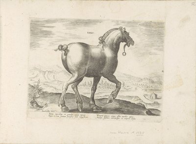 Paard envió a Saksen Saxo (título sobre objeto) Paardenrassen uit de Koninklijke stallen van Don Juan van Oostenrijk (título de la serie) Un caballo, en el que se encuentra el más noble de todos los tipos: un personaje distinguido de caballos de varias par de Anonymous