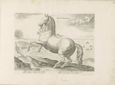 Paard envió Spanje Caballo español (título sobre objeto) Paardenrassen uit de Koninklijke stallen van Don Juan van Oostenrijk (título de la serie) Un caballo, en el que se encuentra el más noble de todos los tipos: un personaje distinguido de caballos de v de Anonymous