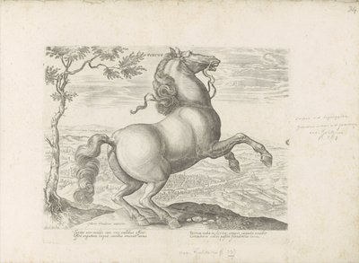 Paard envió a Toscana Toscana (título sobre el objeto) Un caballo, en el que se encuentra el más noble de todos los tipos: un personaje distinguido de caballos de varias partes del mundo seleccionados (...) (título de la serie sobre el objeto) de Anonymous