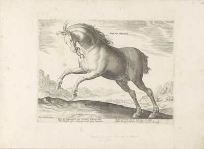 Paard van het ras Equus Regius (de Koninklijke) El caballo real (título sobre el objeto) Paardenrassen uit de Koninklijke stallen van Don Juan van Oostenrijk (título de la serie) Un establo, en el que se encuentra el más noble de todos los tipos: distingui de Anonymous