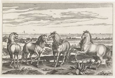 Caballos Animales de cuatro patas (título de la serie) Animalivm Qvaddrvpedvm (título de la serie) de Anonymous