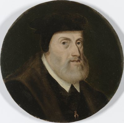 Retrato de Carlos V, emperador del Sacro Imperio Romano Germánico de Anonymous