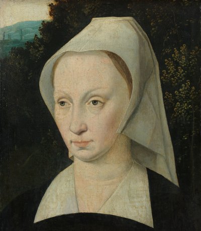 Retrato de una mujer de Anonymous
