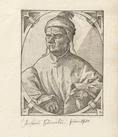 Portret de Antonio Grimani de Anonymous