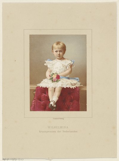 Retrato de Guillermina, Reina de los Países Bajos de Anonymous
