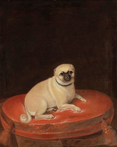 Pug de Anonymous