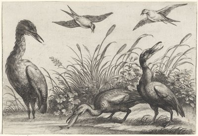 garzas y golondrinas de Anonymous