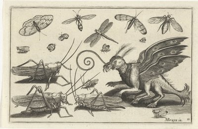 Saltamontes y criatura de fantasía con alas y patas palmeadas. Pájaros e insectos (título de la serie) de Anonymous