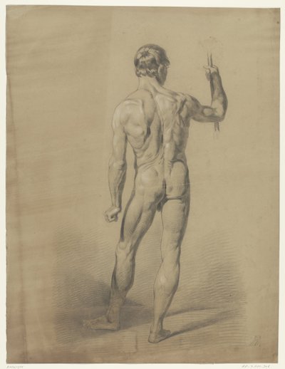 Desnudo masculino de pie, visto desde atrás de Anonymous