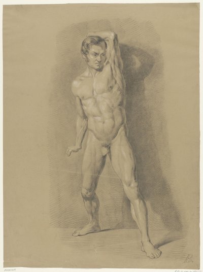 Desnudo masculino de pie, de frente de Anonymous