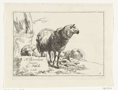 Ovejas de pie y dos ovejas acostadas Cabras y ovejas a N.P. Berchem (título de la serie) de Anonymous