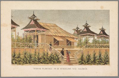 Plantación de tabaco de las colonias holandesas en la Feria Mundial de Ámsterdam, 1883
Plantación de tabaco en la sección Ned: Colonias (título en el objeto)
Memoria de Ámsterdam en 1883 (título de la serie en el objeto) de Anonymous