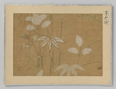 fragmento textil de Anonymous
