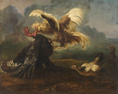 El gallo flamenco y el gallo turco de Anonymous