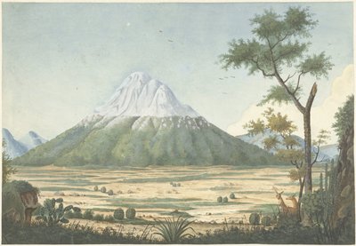 paisaje tropical con montañas de Anonymous