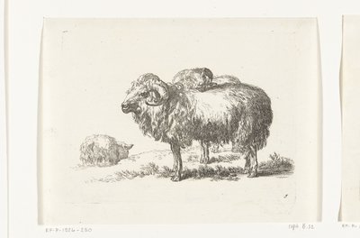 Dos cabras y una oveja mentirosa Cabras y ovejas a N.P. Berchem (título de la serie) de Anonymous