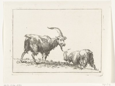 Dos cabras o machos cabríos
Cabras y ovejas a N.P. Berchem (título de la serie) de Anonymous