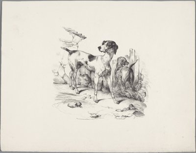 Dos perros en una cerca Seis estudios con animales pequeños (título de la serie) Seis pequeños estudios de bestias (título de la serie sobre el objeto) de Anonymous