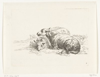 Dos ovejas mentirosas Cabras y ovejas a N.P. Berchem (título de la serie) de Anonymous
