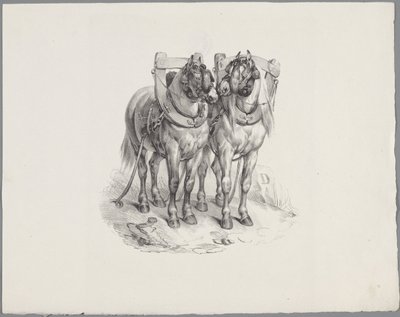 Dos caballos preparados Seis estudios con animales pequeños (título de la serie) Seis pequeños estudios de bestias (título de la serie sobre el objeto) de Anonymous