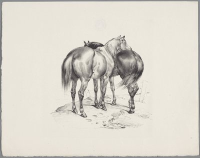 Dos caballos vistos desde atrás Seis estudios con animales pequeños (título de la serie) Seis pequeños estudios de bestias (título de la serie sobre el objeto) de Anonymous