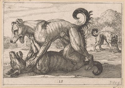 Dos perros de apareamiento y dos de pelea. Fighting Animals (copias) (título de la serie) de Anonymous