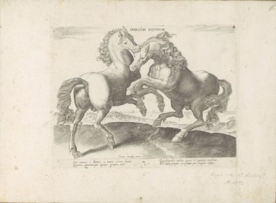 Twee vechtende paarden Duel Equinum (título sobre objeto) Un caballo, en el que se encuentra el más noble de todos los tipos: un personaje distinguido de caballos de varias partes del mundo seleccionados (...) (título de la serie sobre el objeto) de Anonymous