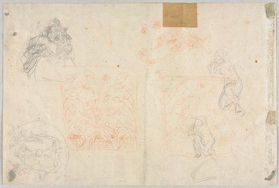Various Sketches of Figures and Plants (verso) de Anonymous