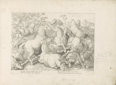 Vechtende paarden Un caballo, en el que se encuentra el más noble de todos los tipos: un personaje distinguido de caballos de varias partes del mundo seleccionados (...) (título de la serie sobre el objeto) de Anonymous