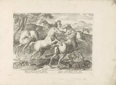 Vechtende paarden met een onder de voet gelopen paard Un caballo, en el que se encuentra el más noble de todos los tipos: un personaje distinguido de caballos de varias partes del mundo seleccionados (...) (título de la serie sobre el objeto) de Anonymous
