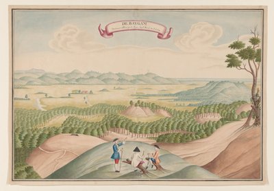 Vista de la plantación de pimientos en la zona de Baygam de Anonymous