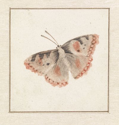 Mariposa de Anonymous