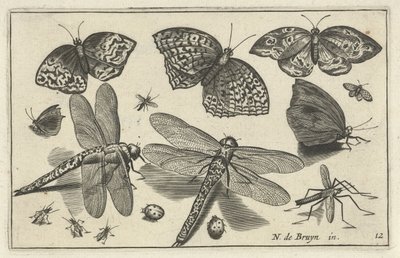 mariposas y libélulas Pájaros e insectos (título de la serie) de Anonymous