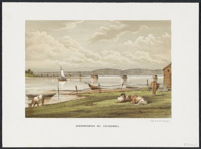 Puente Waal cerca de Zaltbommel, 1869 Puente ferroviario en Zaltbommel (título sobre objeto) Los principales puentes ferroviarios de los Países Bajos (título de la serie) de Anonymous