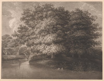 Molino de agua por un gran roble de Anonymous