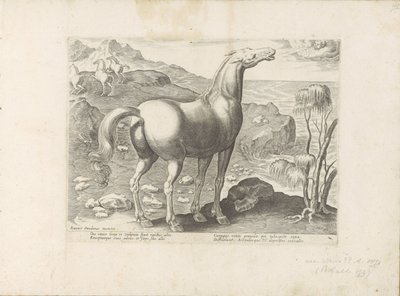Viento del oeste bevrucht een merrie Paardenrassen uit de Koninklijke stallen van Don Juan van Oostenrijk (título de la serie) Un caballo, en el que se encuentra el más noble de todos los tipos: un personaje distinguido de caballos de varias partes del mun de Anonymous