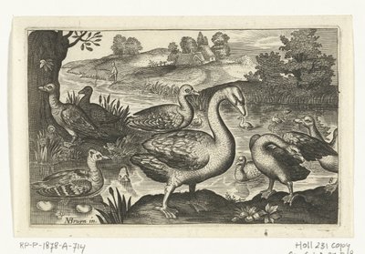 Cisnes y gansos y patos Pájaros e insectos (título de la serie) de Anonymous