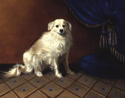 Un Perro de Juguete de Anonymous Anonymous